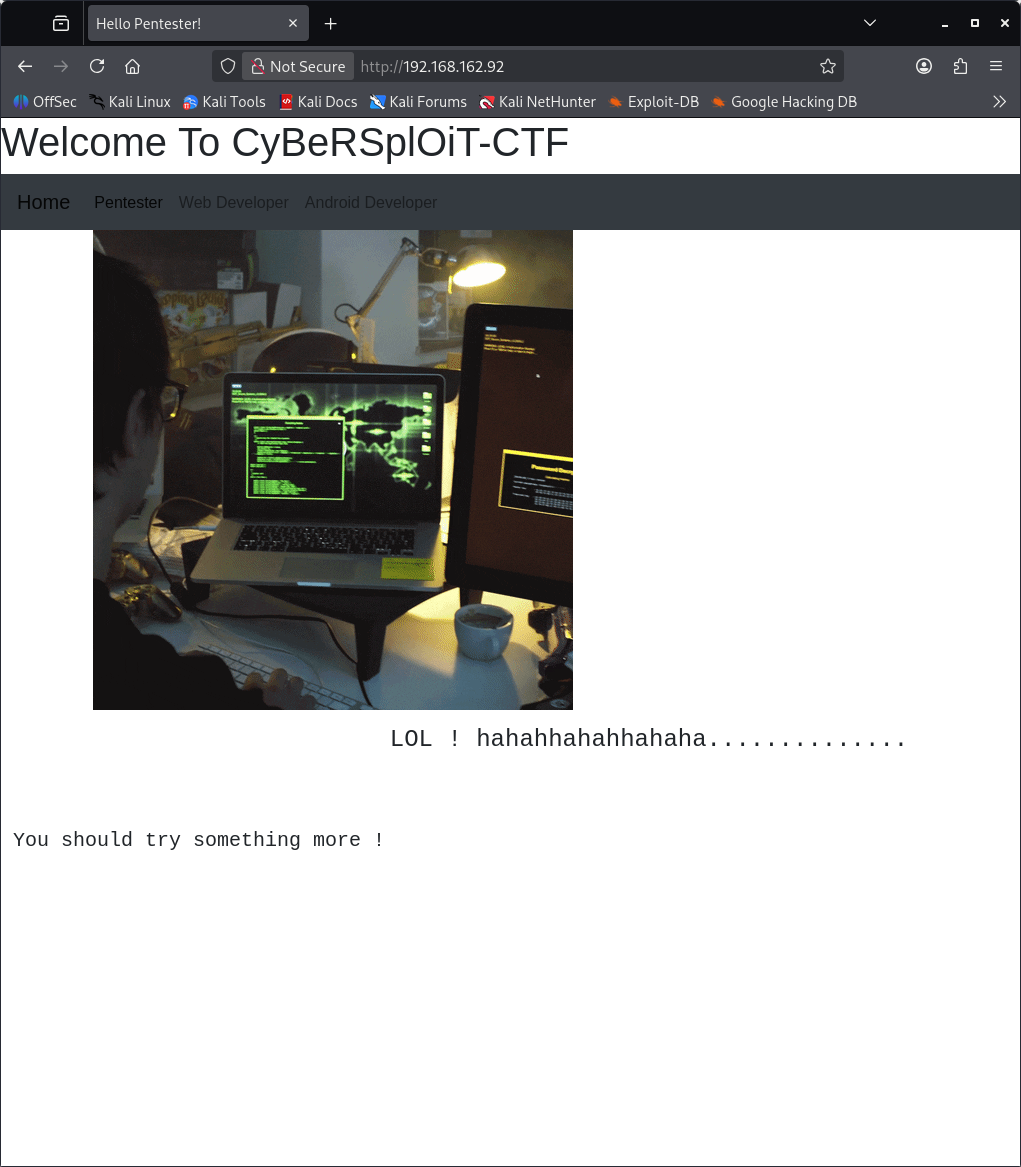 Target Website Screenshot showing the target website